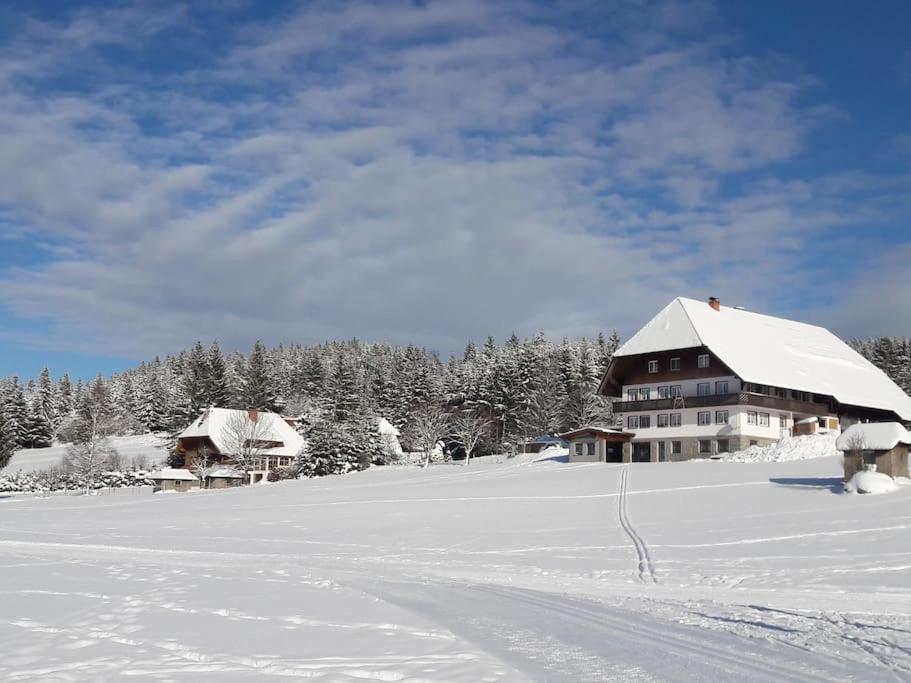 Haus Lucia, Mit Pool Und Sauna, Appartment 4 Schönwalde Buitenkant foto